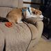 Kathy Straight - Facebook