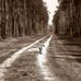 Kathy Strait - Facebook