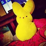 kathy strait - @straitkathy - Instagram