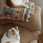 Kathy Kennedy Strand - @kennedystrand - Instagram