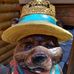Kathy Strand - Facebook