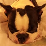 Kathy Strange - @sstrangejoy - Instagram