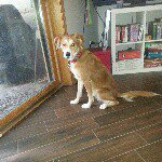 Kathy McGovern Straus - @kathymcgov - Instagram