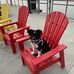 Kathy Strauss - Facebook