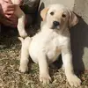 kathystrausser - @kathystrausser - TikTok