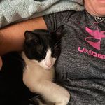 Kathy Strausbaugh - @kathy_strausbaugh - Instagram