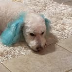 Kathy Streck - Facebook