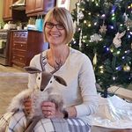Kathy Stringham - @kathstrin - Instagram