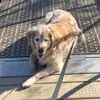 Kathleen - @kathy.strom - TikTok