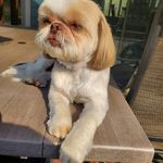 Kathy Strom - @kathy.strom - Instagram