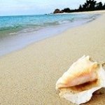 Kathy Strom - @kestrom1966 - Instagram