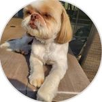 Kathy Strom - @kathy_strom.46 - Instagram