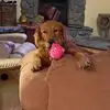 Kathy Strom Holand - @kathy.strom.holan - TikTok