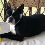 Kathy Strom Kennedy - @kathystromkennedy - Instagram