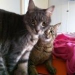 Kathy Struber - @kathystruber - Instagram