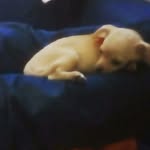 Kathy Stultz - @kathystultz1953 - Instagram