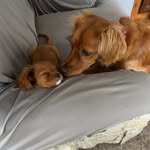 Kathy Millard Stump - @kathy.m.stump.5 - Instagram