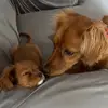 Kathy Stump - @kathy.stump6 - TikTok