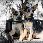 Kathy Stump - @katystup - Instagram