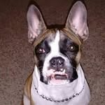 Kathy Williams Stump - @stump.kathy - Instagram