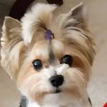 Kathy D Stutts - @borcitaly - Instagram