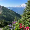kathystutts799 - @kathystutts799 - TikTok