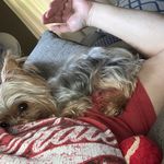 Kathy Sutherland - @kathy.sutherland.10 - Instagram