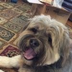 Kathy Sutherland - @grandmasuds - Instagram