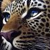 Kathy Swain - Facebook
