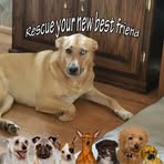 Kathy Rowles Swope - Facebook