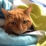 Kathy Tait - @tait.kathy - Instagram