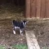 kathytalbott - @kathy.talbott - TikTok