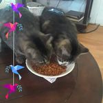 Kathy Talley - @kathyjan20120 - Instagram