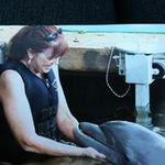 Kathy Talley - @talley_kathy - Instagram