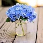 Kathy Talley Gaul - @kathymgaul - Instagram
