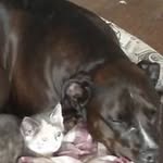 Kathy Tapp - @kathy.tapp1 - Instagram