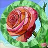 kathytapp191 - @kathytapp191 - TikTok