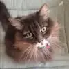 kathyhepptarr - @kathy.hepp.tarr - TikTok