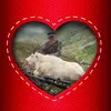 kathytarrantmcgre - @kathytarrantmcgre - TikTok