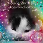 Kathy Lynn Davis - @kathy_steelman - Instagram