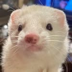 Kathy Teems Jones - @tadpolestinytreasures - Instagram