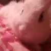 Kathy Temple - @kathy.temple - TikTok