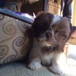 Kathy Teeter - @teeterkathy - Instagram