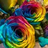 kathytemplin - @kathytemplin - TikTok