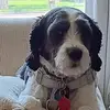Kathy Tesch - @kathy.tesch6 - TikTok