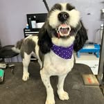 Kathy Tesch - @tesch_kathy - Instagram