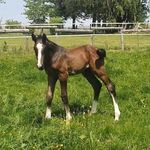 Kathy Testard - @kathytestard - Instagram
