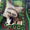 Kat & Thistle - @katnthistle - TikTok