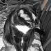 Kathy Thrailkill Maul - Facebook