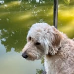 Kathy Tidwell - @rktidwell09 - Instagram